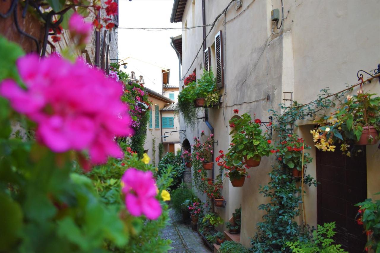Borgo San Sisto Apartment Spello Eksteriør bilde